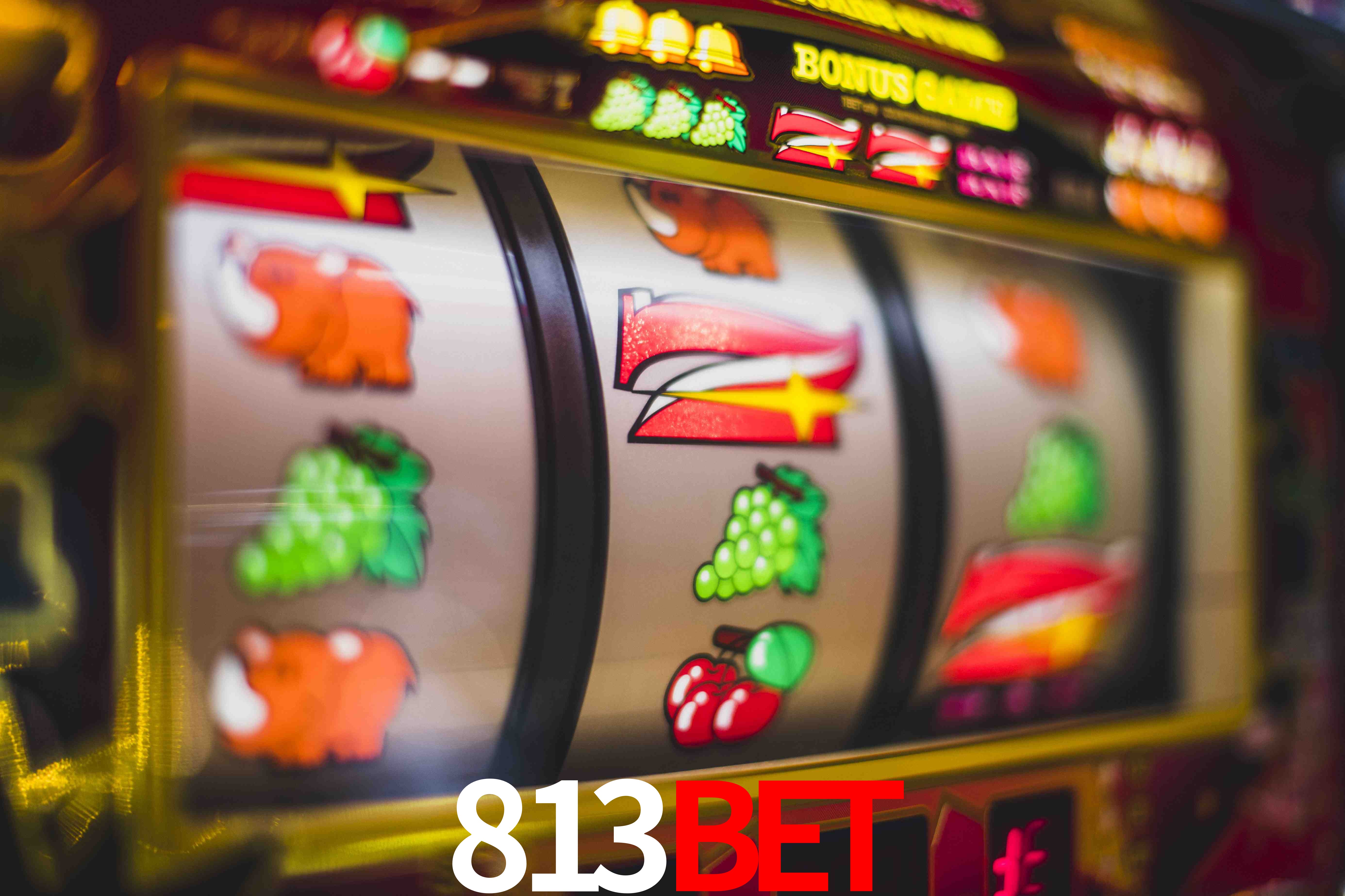 Sports Statistics 813bet